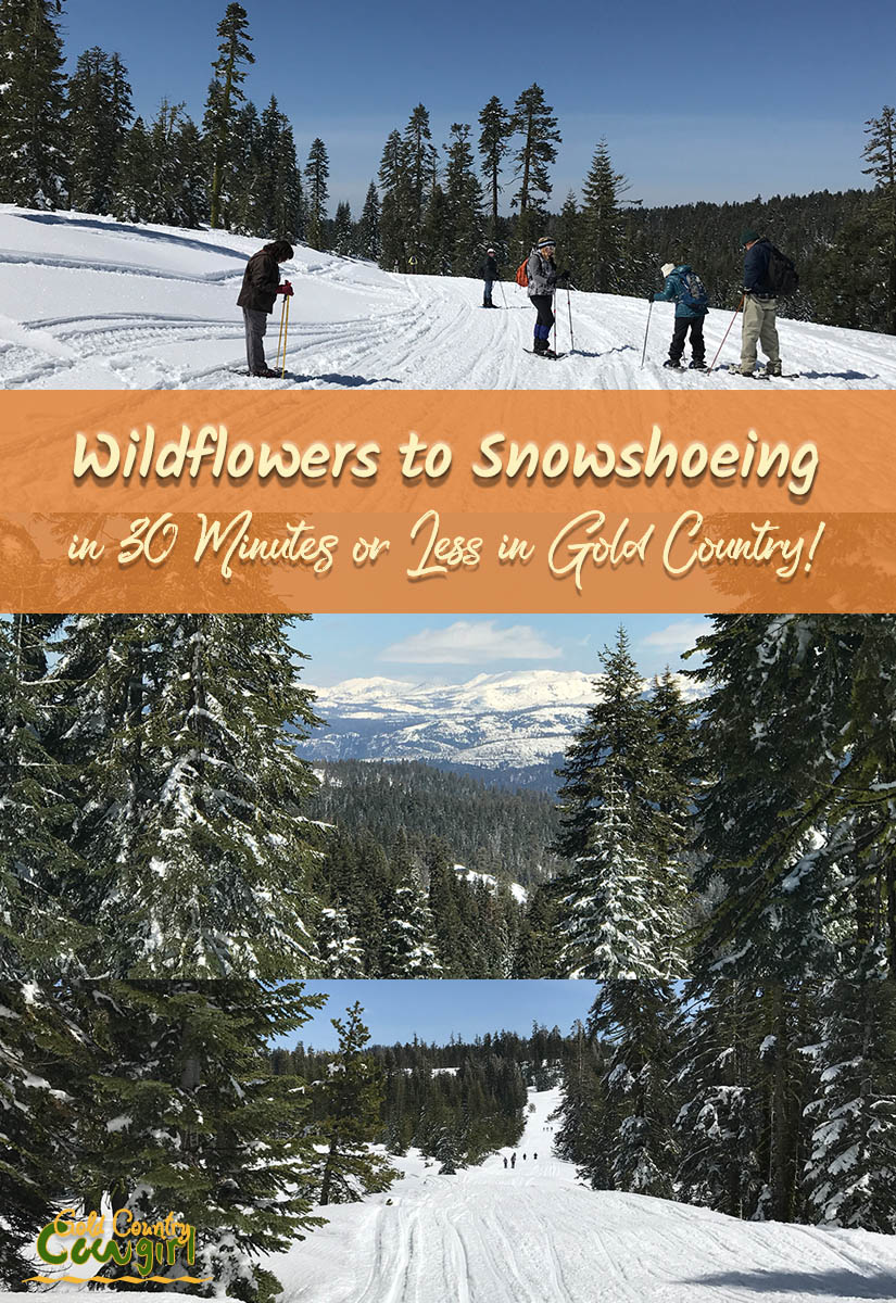 Snowshoeing title graphic v