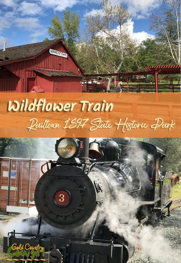 You can ride the train at Railtown 1897 State Historic Park every weekend April through October. The Wildflower Train is a special event in April.