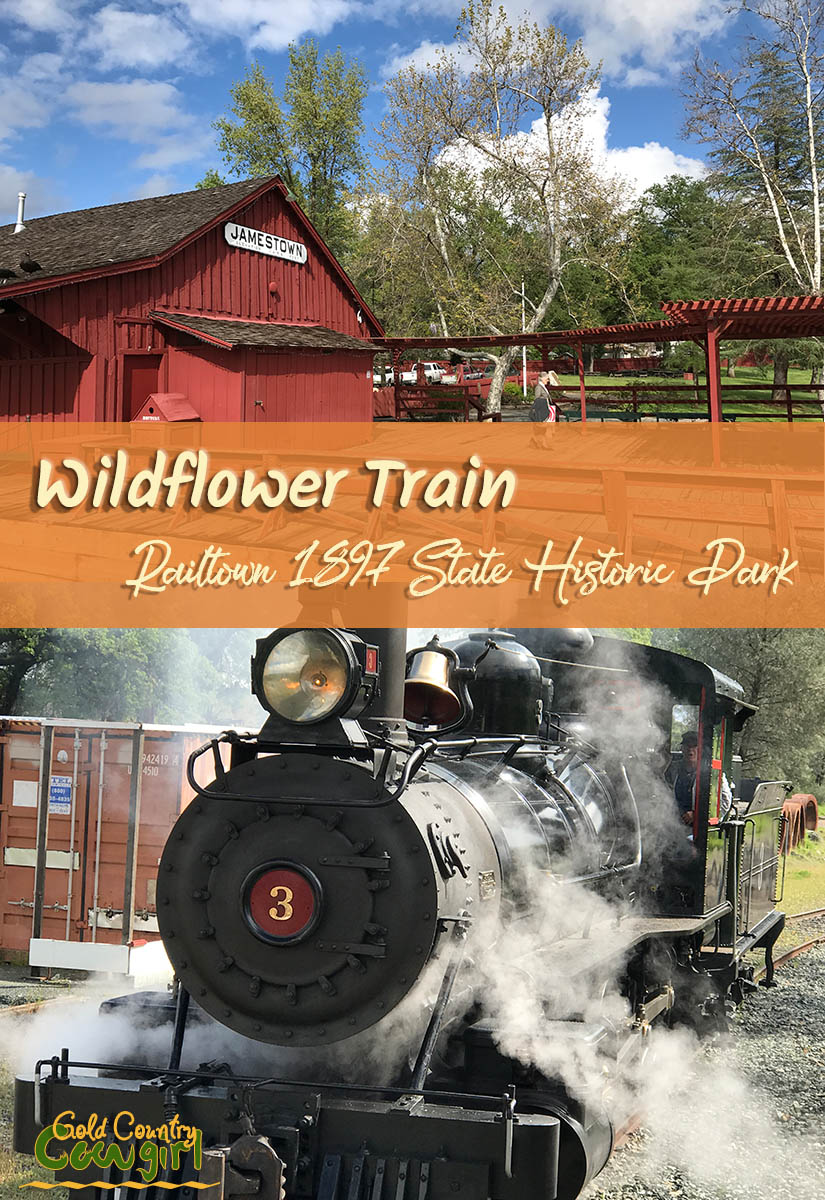 Wildflower Train title graphic v