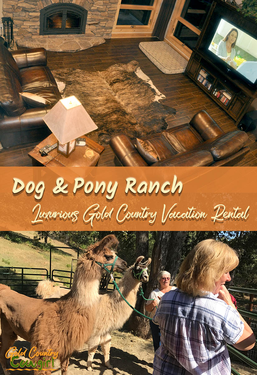 It's been two decades in the making but Troy and Cyndi Harrell's dream has finally come to fruition. They recently hosted a thank you/open house celebration for their Dog & Pony Ranch in Jackson, California. They officially became residents of Amador County the end of last year but waited for better weather to have the celebration for the completion of their home and luxurious Gold Country vacation rental.