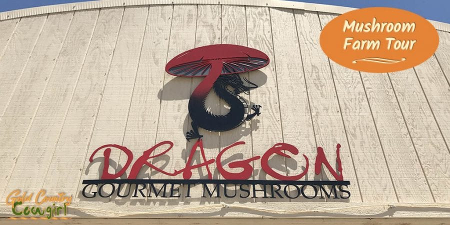 Dragon Gourmet Mushrooms sign on building