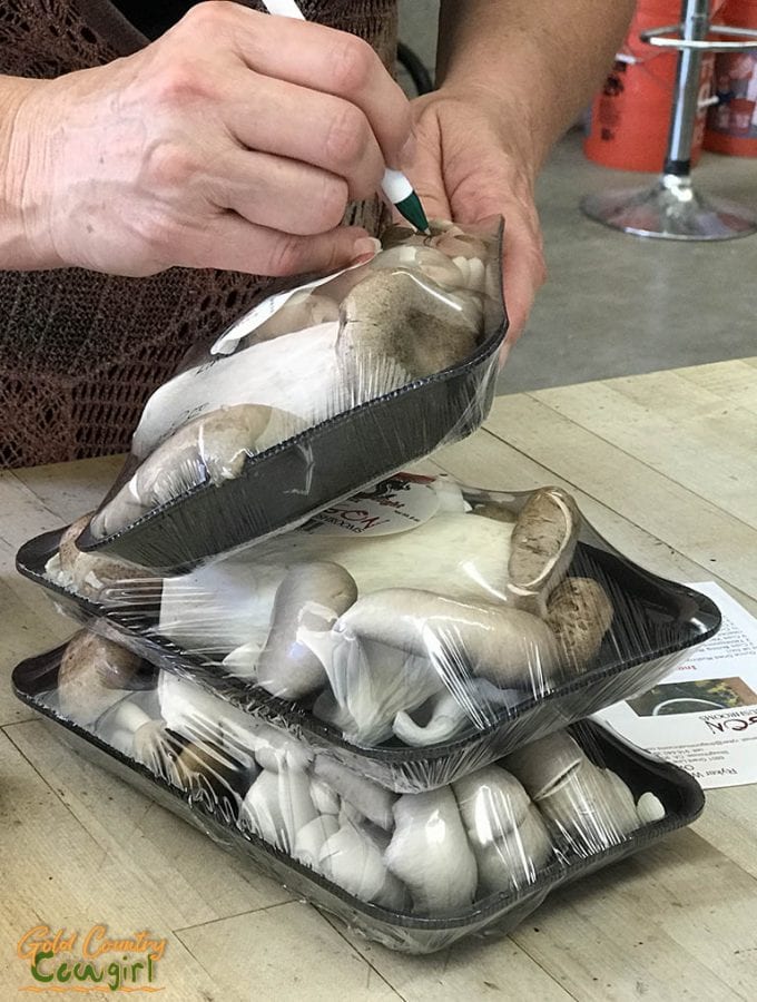 Labeling the mushroom packages - Mushroom Farm Tour -- Dragon Gourmet Mushrooms