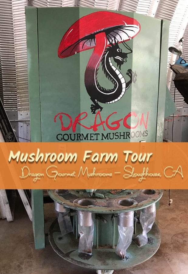 equipment with text overlay: Mushroom Farm Tour Dragon Gourmet Mushroom - Sloughhouse, CA