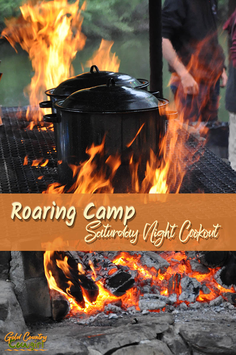 Roaring Camp title graphic v2