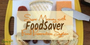 Even as a single person, I still like to buy in bulk to save money. My FoodSaver review and how you can save money on groceries.