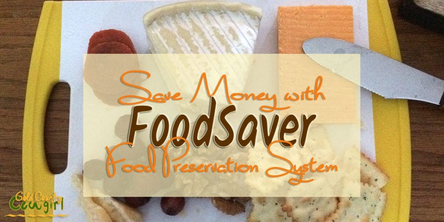 FoodSaver Review: My Favorite Money-Saving Appliance - Even as a single person, I still like to buy in bulk to save money. My FoodSaver review and how you can save money on groceries.