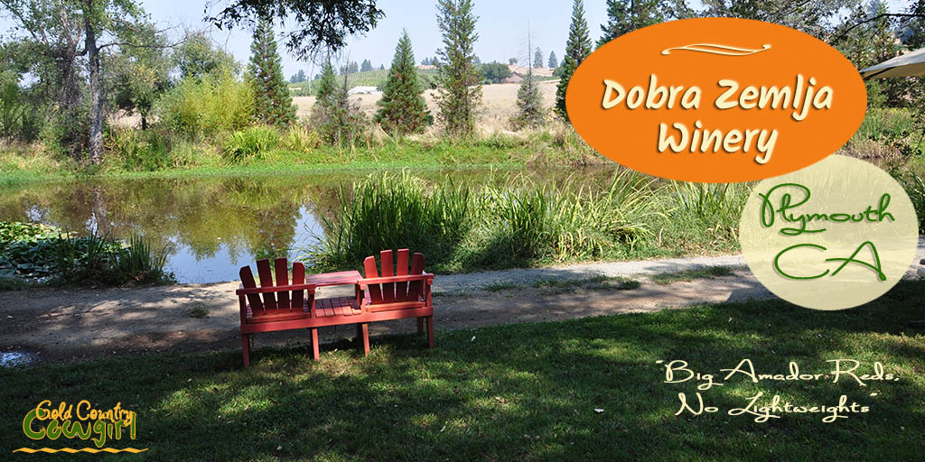 The beautiful grounds with a lake; delicious, robust wines and super friendly staff make Dobra Zemlja Winery a great place to visit in Shenandoah Valley.
