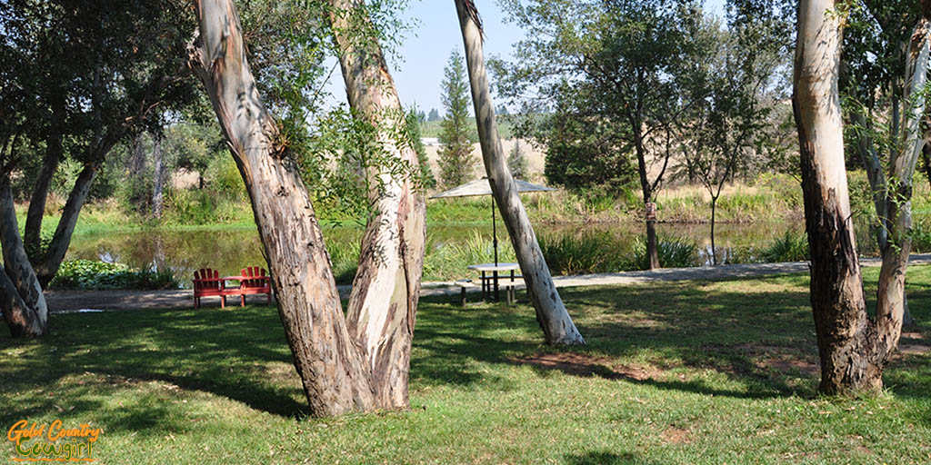 View of pond and picnic table