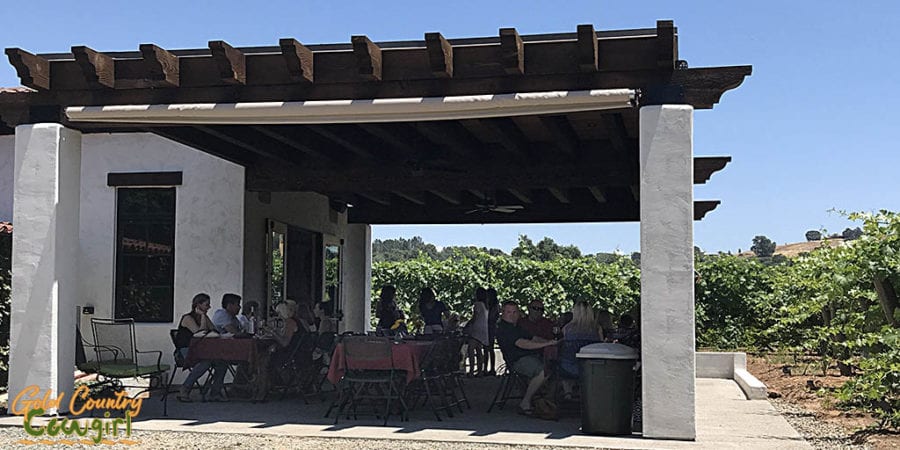 New back patio with view of vineyards