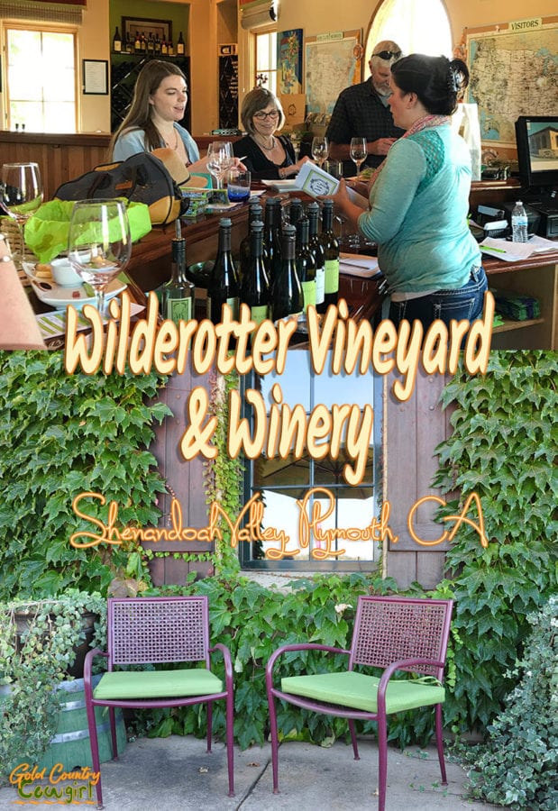 Jay Wilderotter is one of the lucky ones. He found his passion a long time ago and lives it every day. Jay and Maggie Wilderotter, owners of Wilderotter Vineyard, want you to feel as welcome in their tasting room as you would in their home.