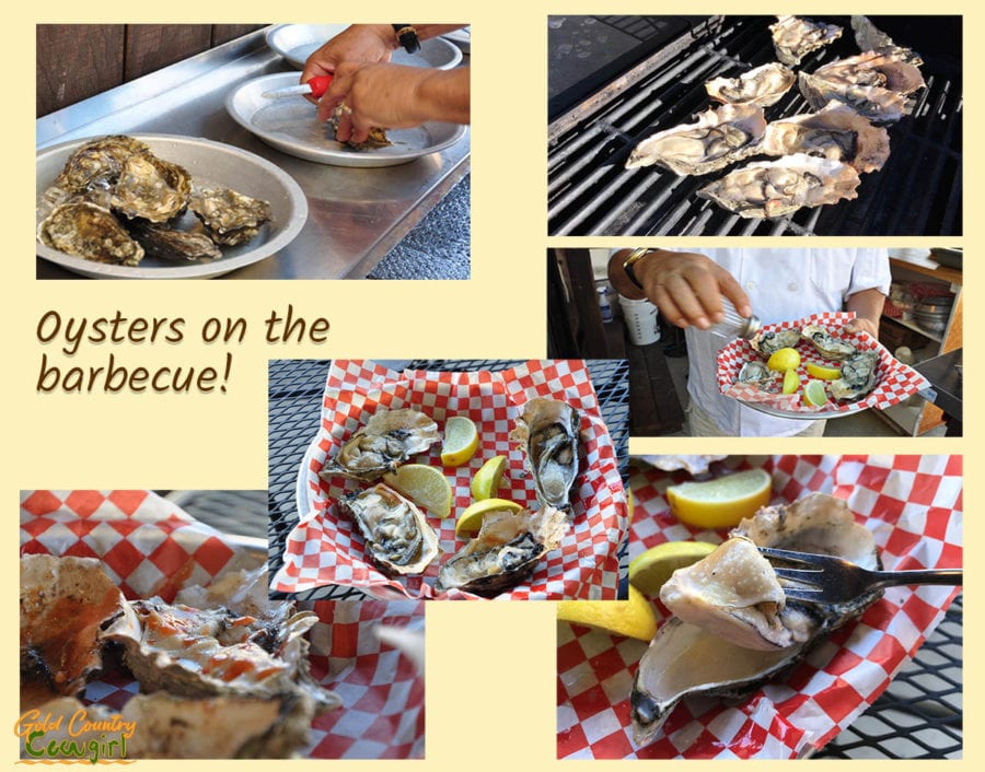 Oysters and Smoked Meats at Jamison's Ale House