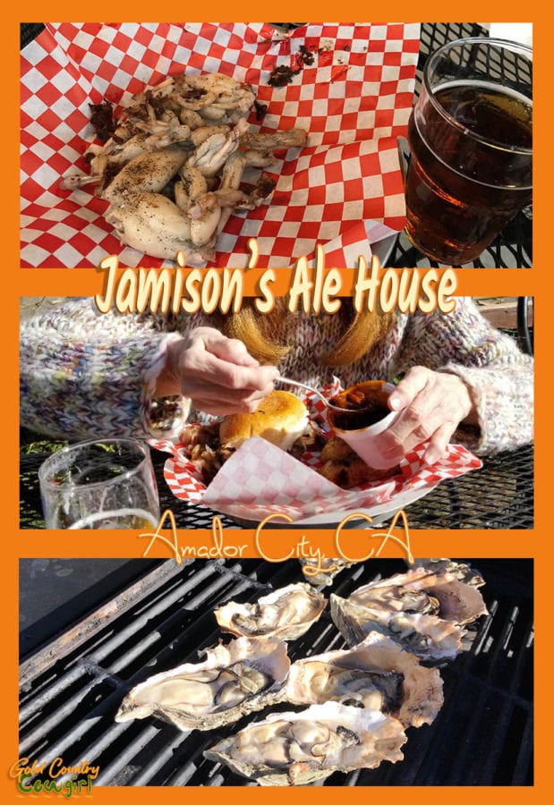 The first time I went to Jamison's Ale House and Oyster Bar in Amador City, CA, I knew I would be going back often and would want to share it with you. You'll find things on the menu you won't find anywhere else in the county.