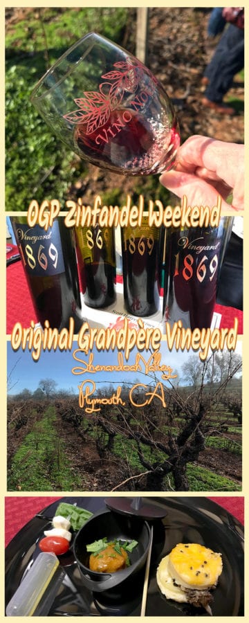 I've been researching Zinfandel for some time now, learning what is so special about old vine Zinfandel. When I saw an opportunity to visit the oldest documented Zinfandel vineyard in the Americas, planted in the 1860s, I knew I had to go. Shenandoah Valley, Plymouth, CA.