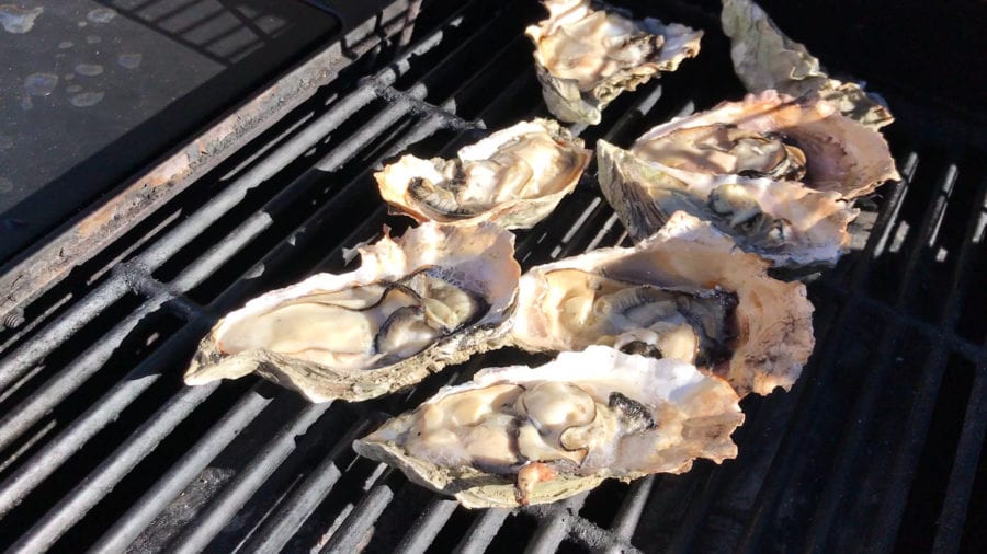 Oysters on the barbecue at Jamison's Ale House in Amador City