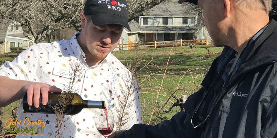 Pouring old vine zinfandel in the Original Grandpère Vineyard (OGP), also called Vineyard 1869