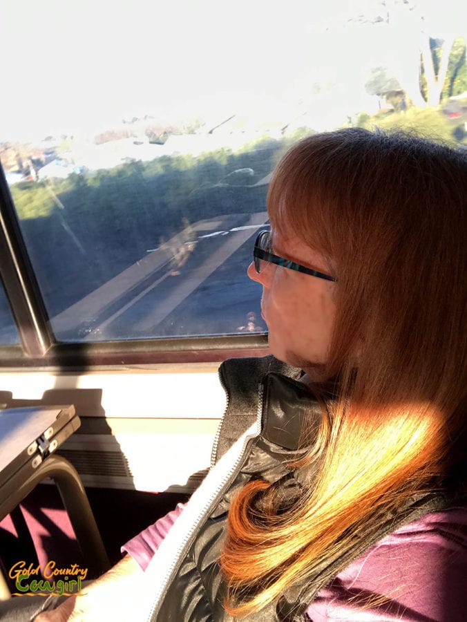 Amtrak from Sacramento to San Francisco - selfie