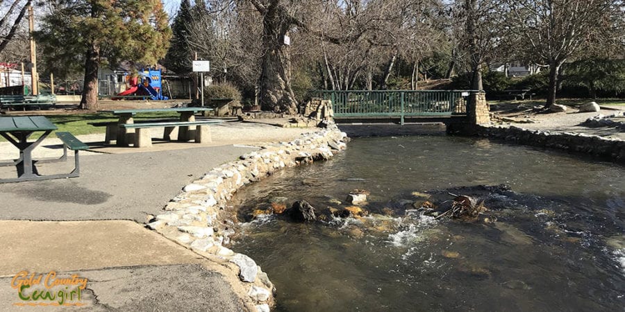 Creek in Murphys Community Park