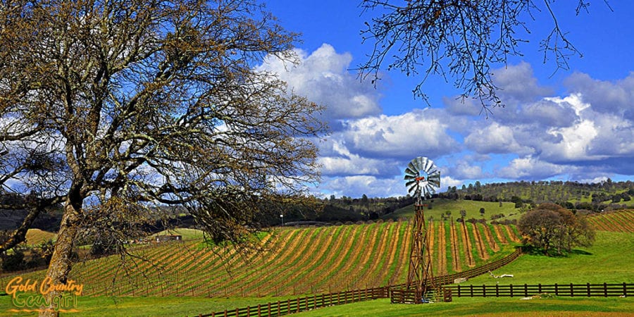 An amazing day and view at Rancho Victoria Vineyard