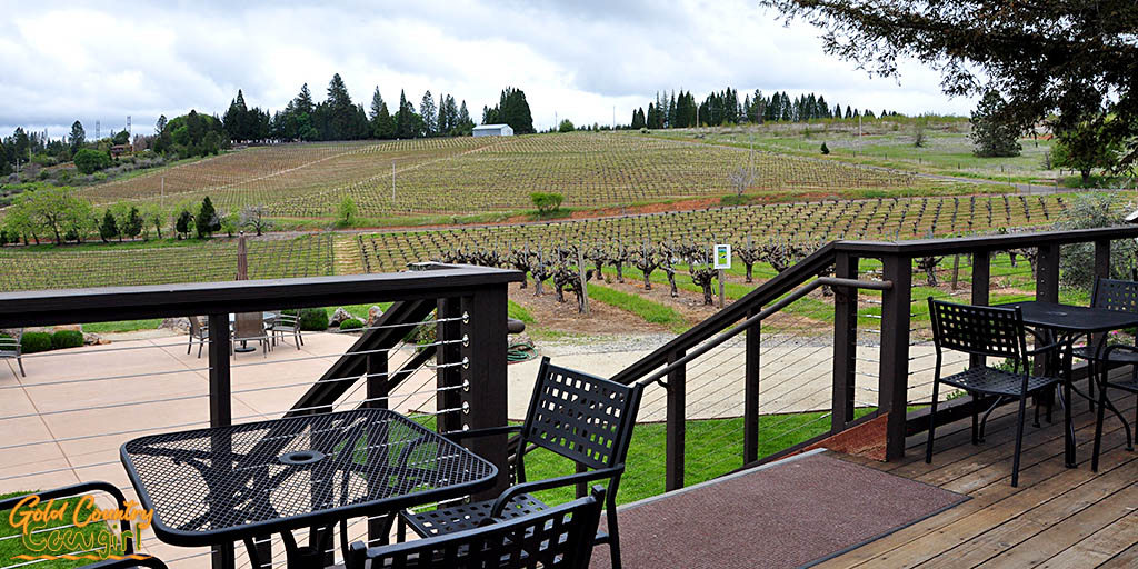 Lava Cap patio view of vineyard