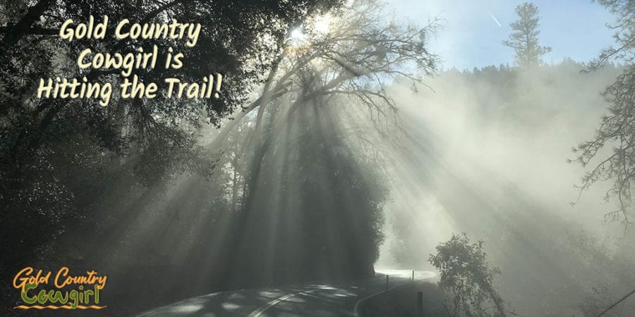 As much as I have enjoyed learning the ropes of living in Gold Country, this Gold Country Cowgirl will be hitting the trail soon. Will I take up a life of living full time on the road in a travel trailer? Read about my life-changing decision.