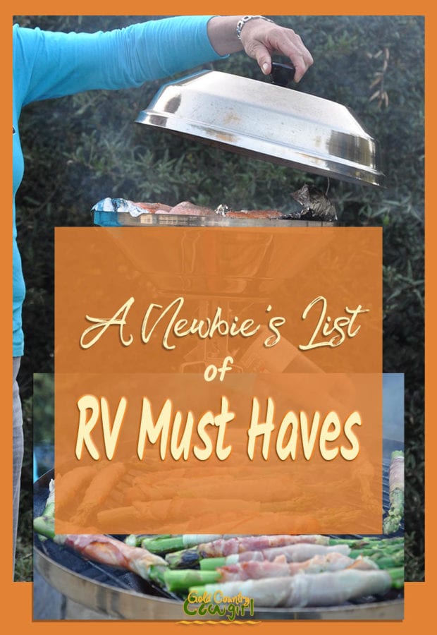 RV Must Haves - Although space is pretty limited in any RV including my travel trailer, there are a few things that I am putting on my RV must haves list.