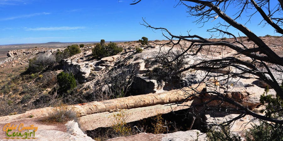 Agate Bridge in Petrified Forest National Park