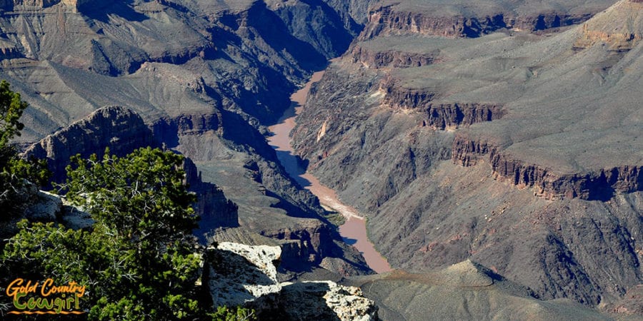 The Colorado River flowing through the Grand Canyon