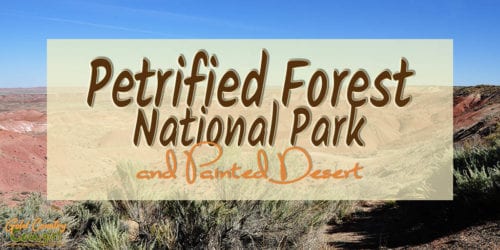 Petrified Forest National Park in Arizona, lies at the heart of the Painted Desert and is one of the largest concentrations of petrified wood in the world.