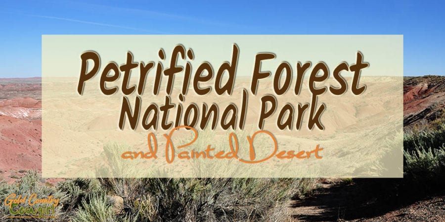 Petrified Forest National Park in Arizona, #6 on my list of most viewed posts of 2019