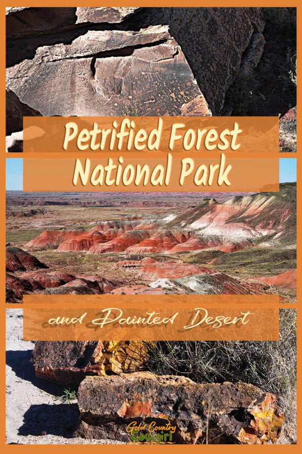 photos of petrified wood and painted desert