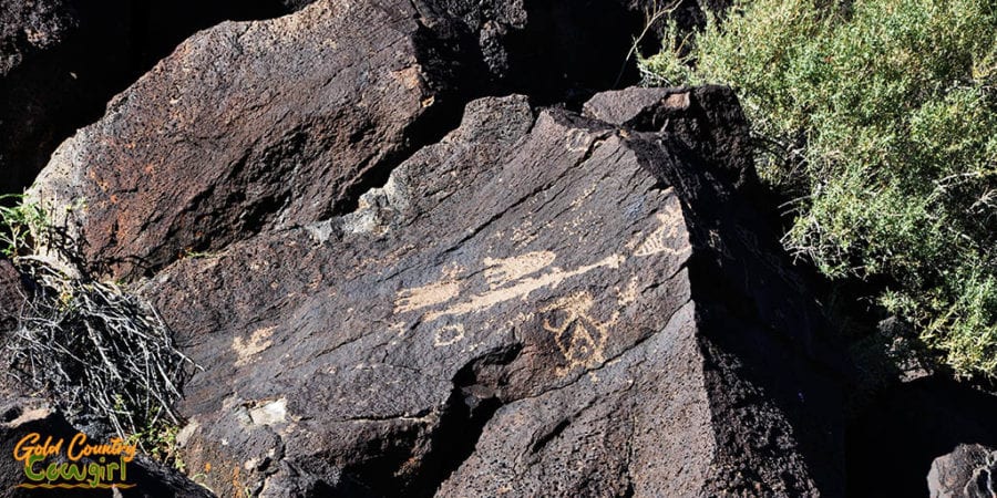 Petroglyphs - Piedras Marcadas Canyon in Petroglyph National Monument