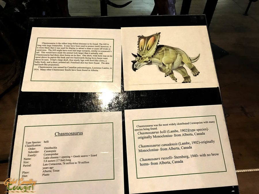Chasmosaurus info at Buena Vista Natural History Museum, Bakersfield, CA