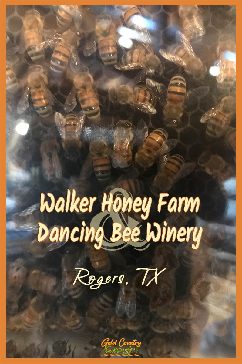 Walker Honey Farm title graphic v