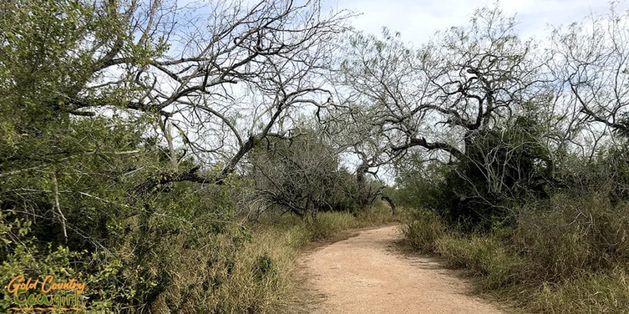Trail at Harlingen Thicket