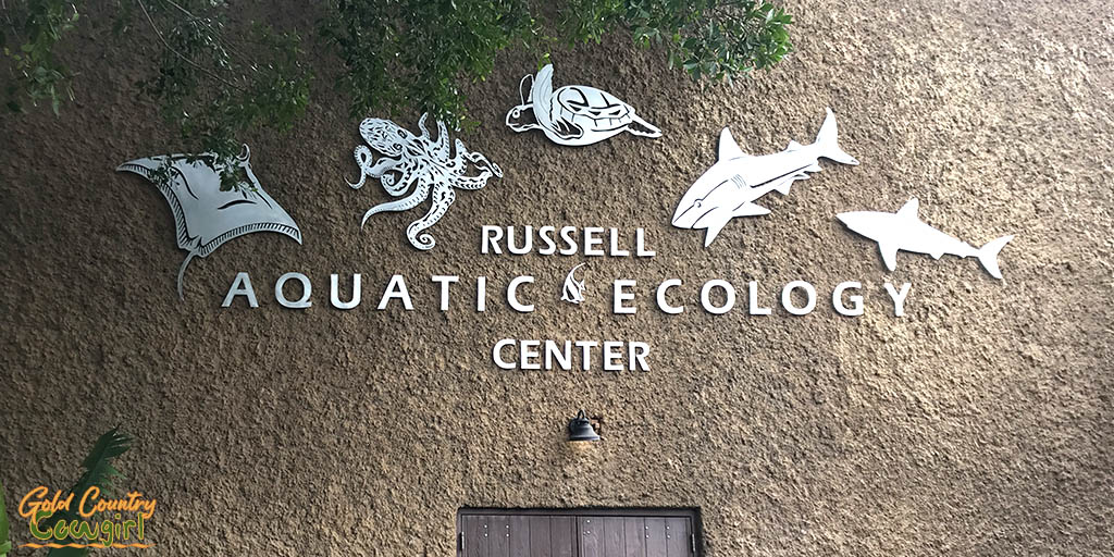 Aquatic center sign