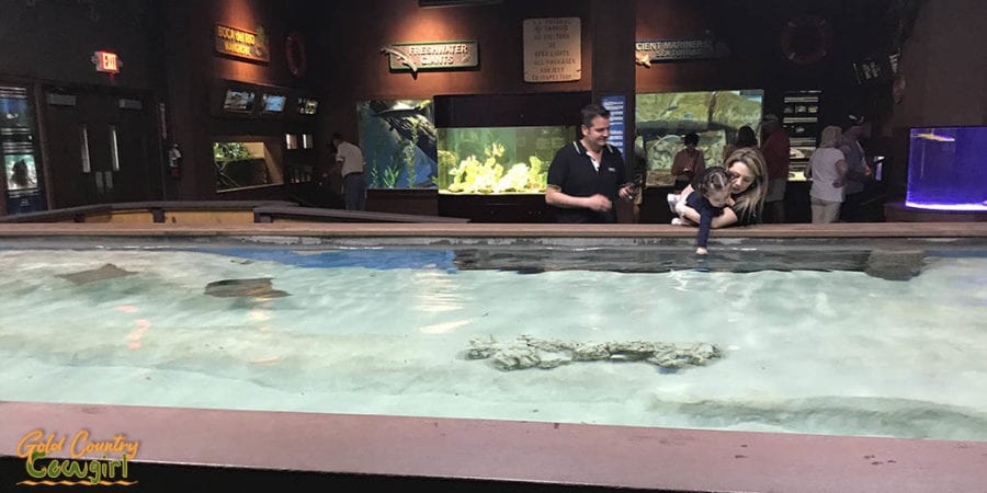 Stingray landing