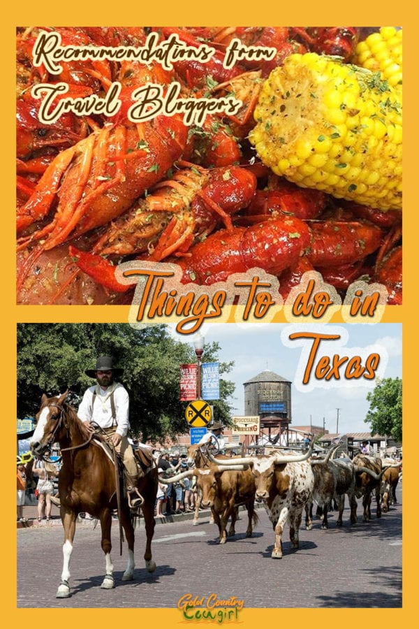 Texas is a diverse state with a mind-boggling number of things to do. Bucket list worthy things to do in Texas by region recommended by travel bloggers. #travel #texas #food #wine #hiking