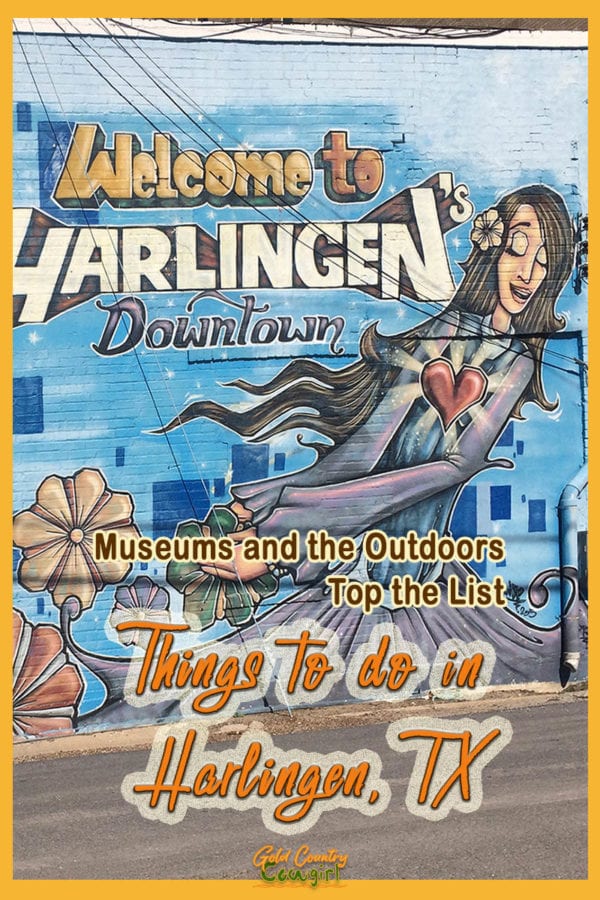 A sub-tropical climate, with average winter lows in the 50s, means year-round outdoor activities. Museums top the list of indoor things to do in Harlingen. #travel #texas #harlingen #museums #birding