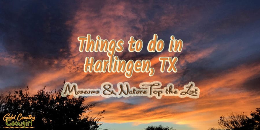 A sub-tropical climate, with average winter lows in the 50s, means year-round outdoor activities. Museums top the list of indoor things to do in Harlingen. #travel #texas #harlingen #museums #birding