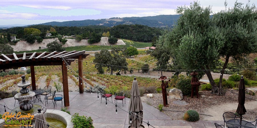 View from Croad Vineyards tasting room