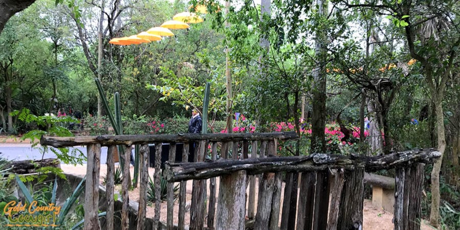 bridge crossing over ditch at Quinta Mazatlan