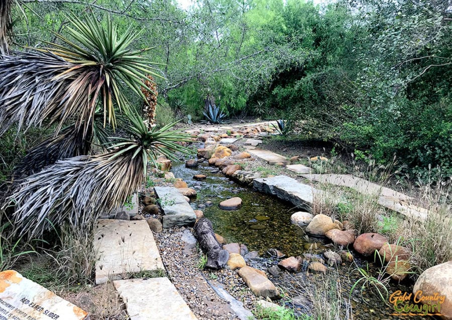 water feature for red-eared slider turtles