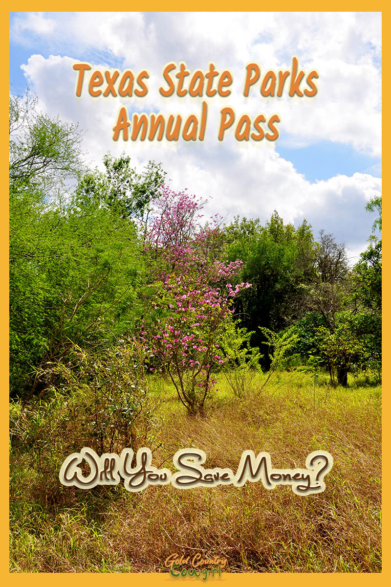 Texas State Parks Pass title graphic v