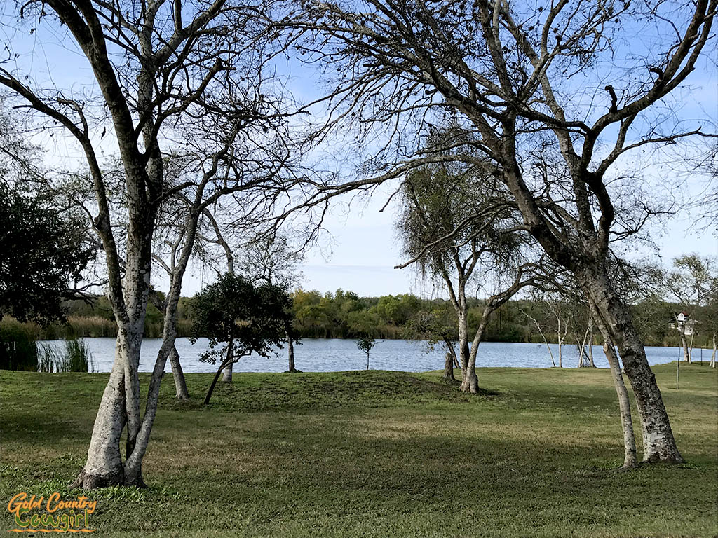 Lake and trees at Wildnerness Lakes RV Resort