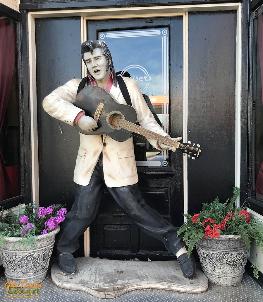 Williams AZ Elvis statue in front of store