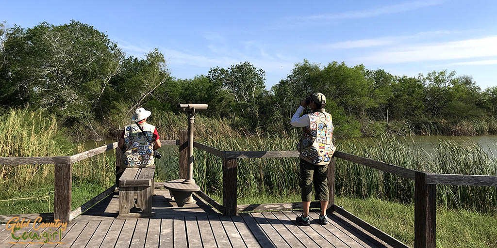 Birders on lookout at alligator pond