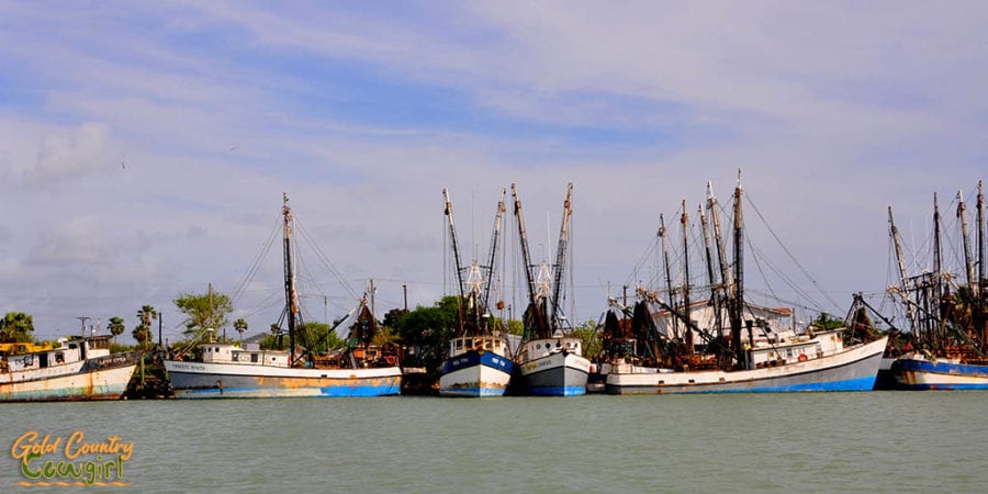 fleet of shimping boats