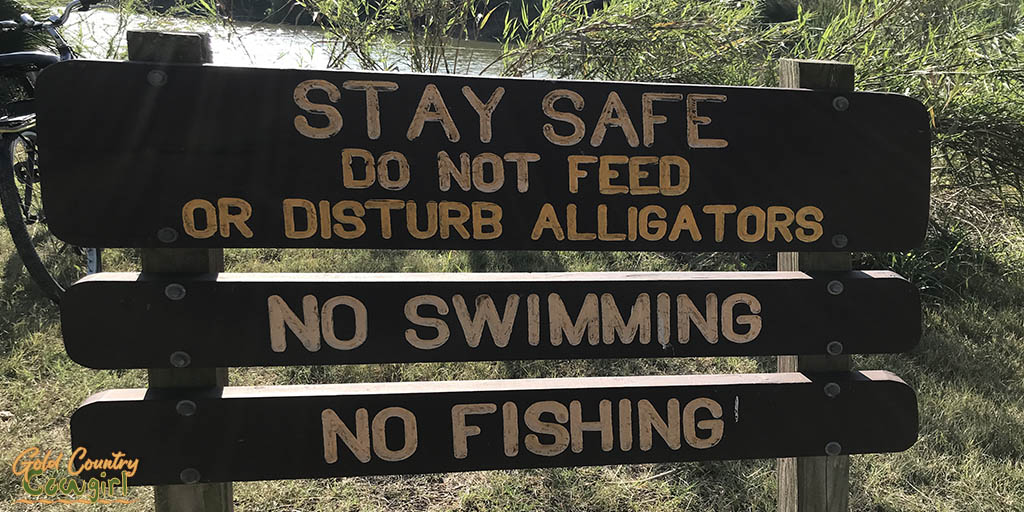 sign that says do not feed alligators