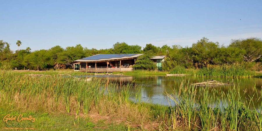 View across Ibis Pond of Estero Llano Grande visitor center