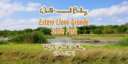 Ibis Pond at Estero Llano Grande State Park with text overlay: World-renowned birding